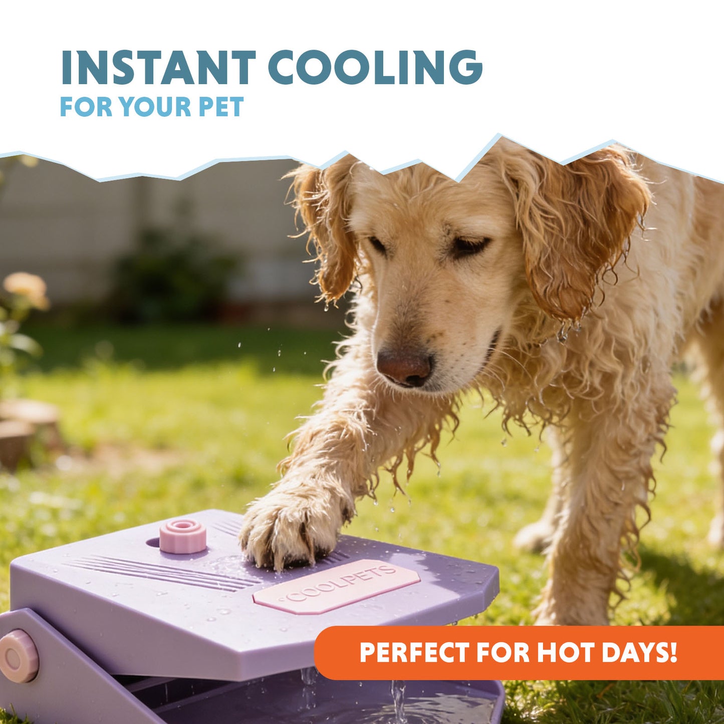 Coolpets Splash Water Fountain Lilac