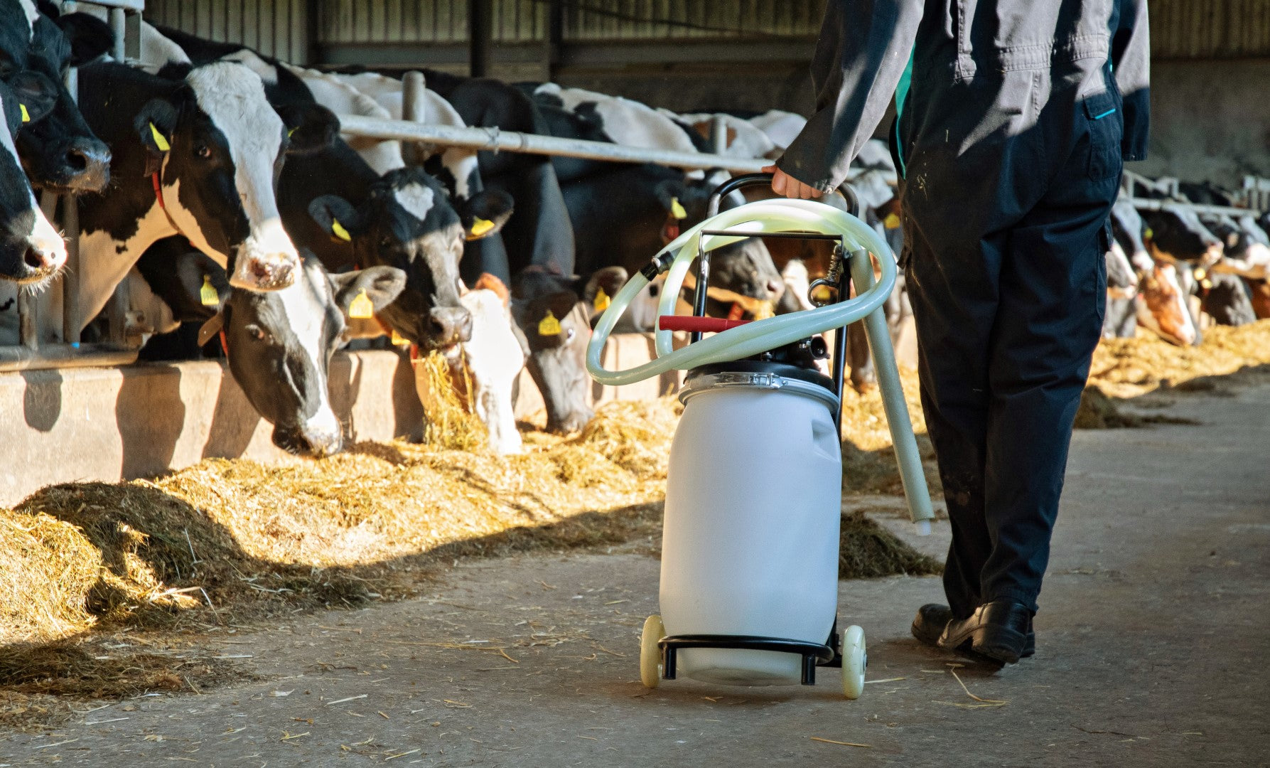 Excellent Cow Drencher Mobile Trolley