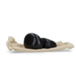 Cozy Dog Spare Parts Stones