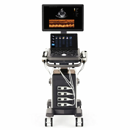 Állatorvosi színes Doppler ultrahang rendszer - Ysen