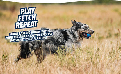 Chuckit! Ultra Squeaker Ball M (2-pack)