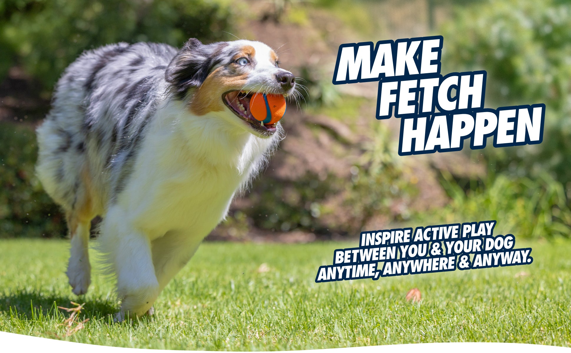 Chuckit! Fetch Ball L