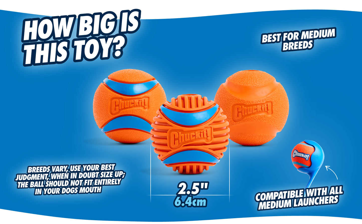 Chuckit! Fetch Ball L