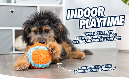 Chuckit! Indoor Shaker