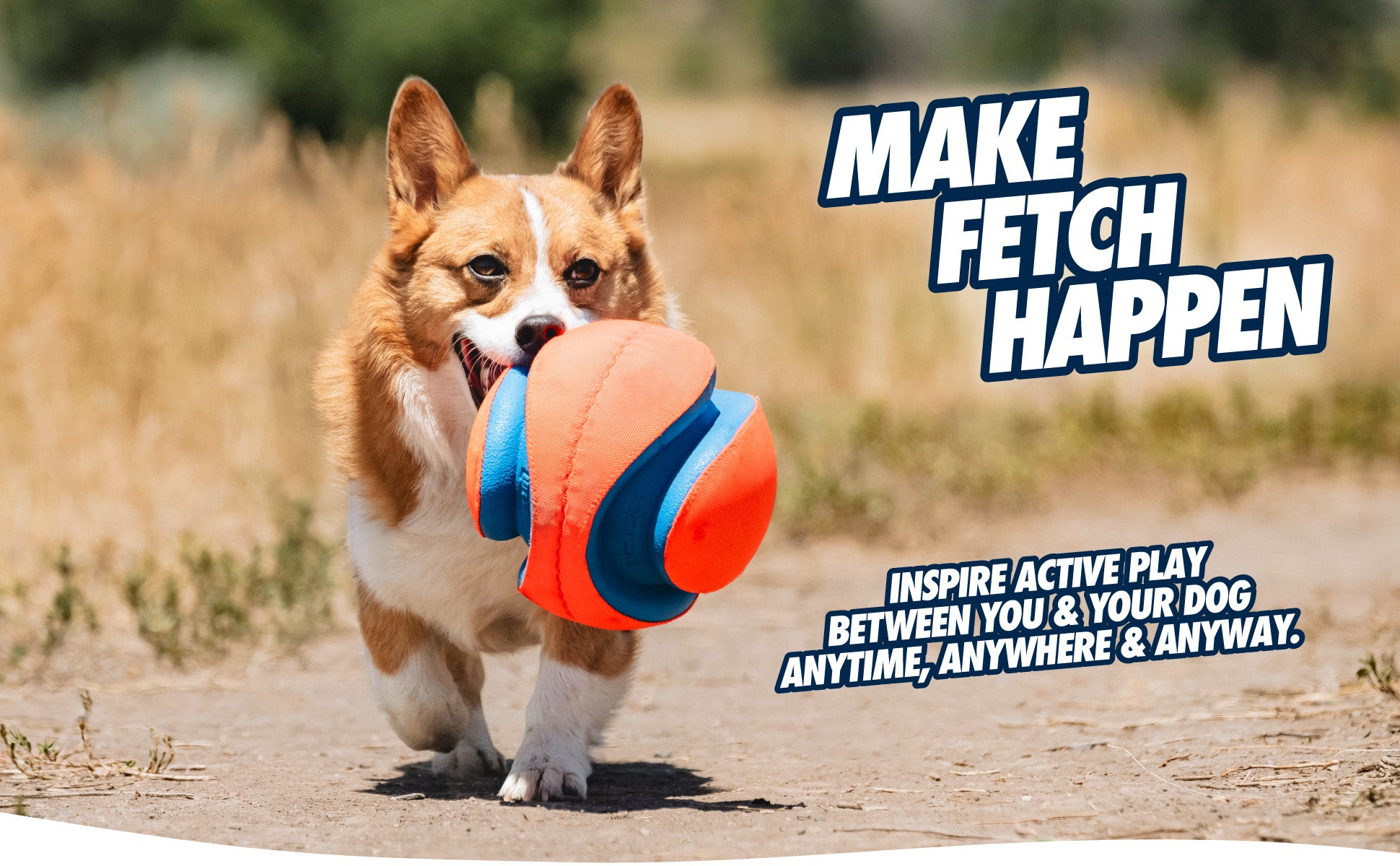 Chuckit! Kick Fetch Dog S