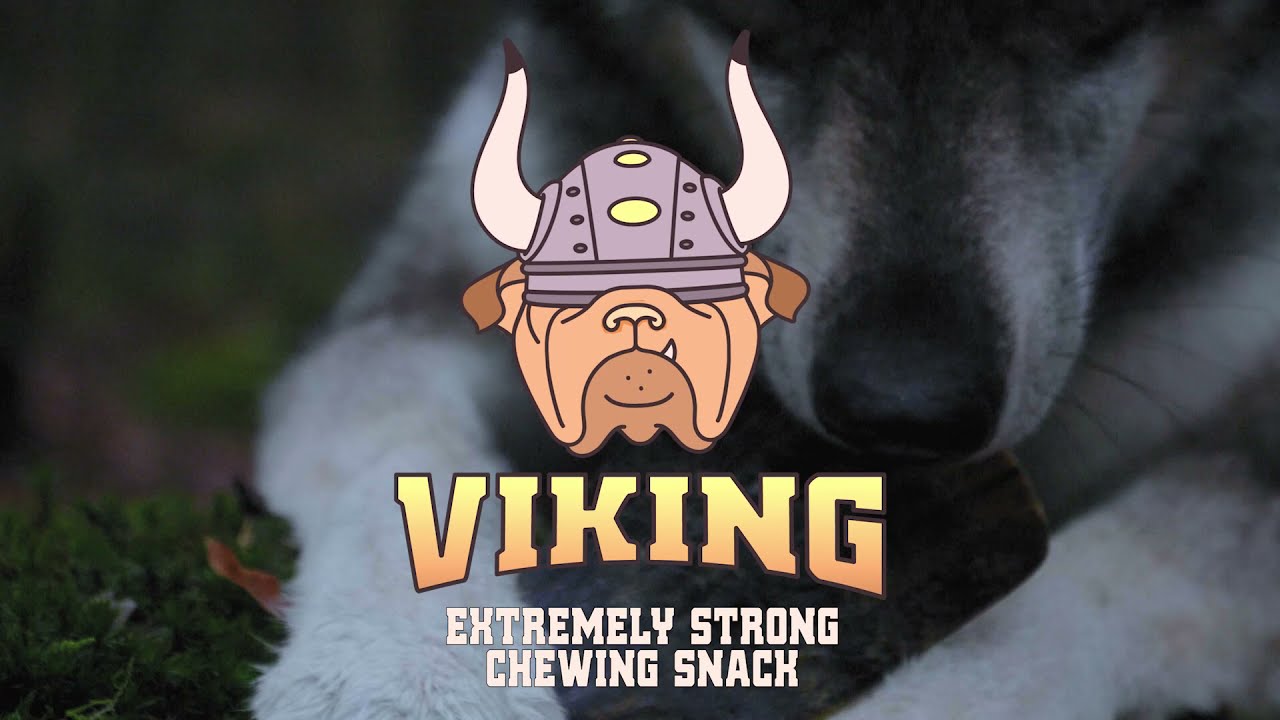 Viking Horn Whole S