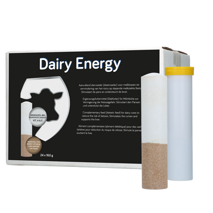 Dairy Energy Bolus 24 x 160 g