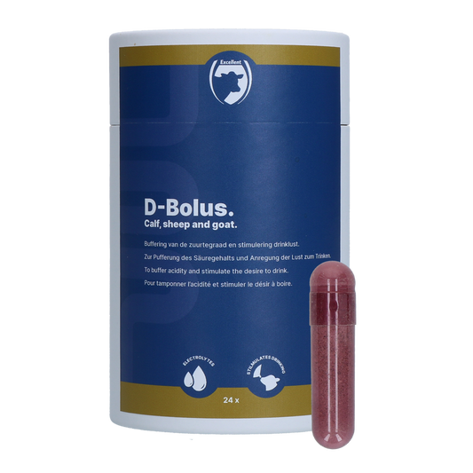 Kiváló D-Bolus (Bikarbonát) 24 darab