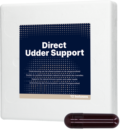 Direct Udder Support 12 x 60 g