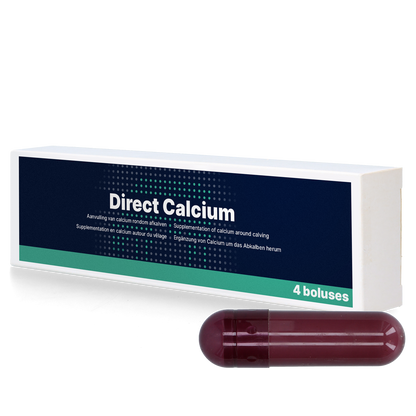 Direct Calcium 4 x 94 g