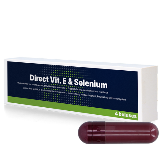 Direkt Vit. E & Szelén 4 x 105 g