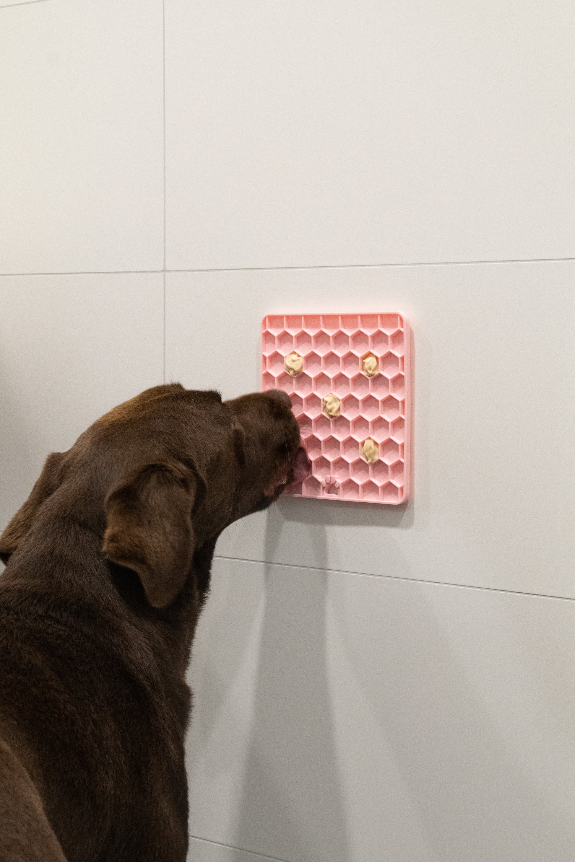 Eat Slow Live Longer Lick Mat Honeycomb Pink