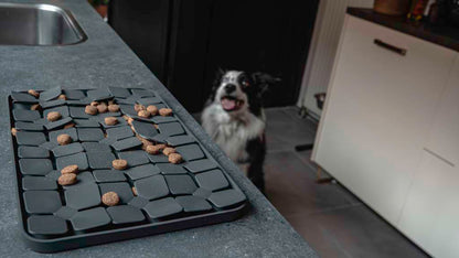 Eat Slow Live Longer Lick Mat Dimensions Flower Grey