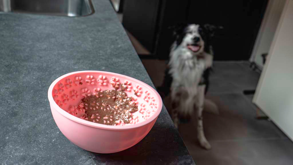 Eat Slow Live Longer Lick Mat Wobble Bowl Pink