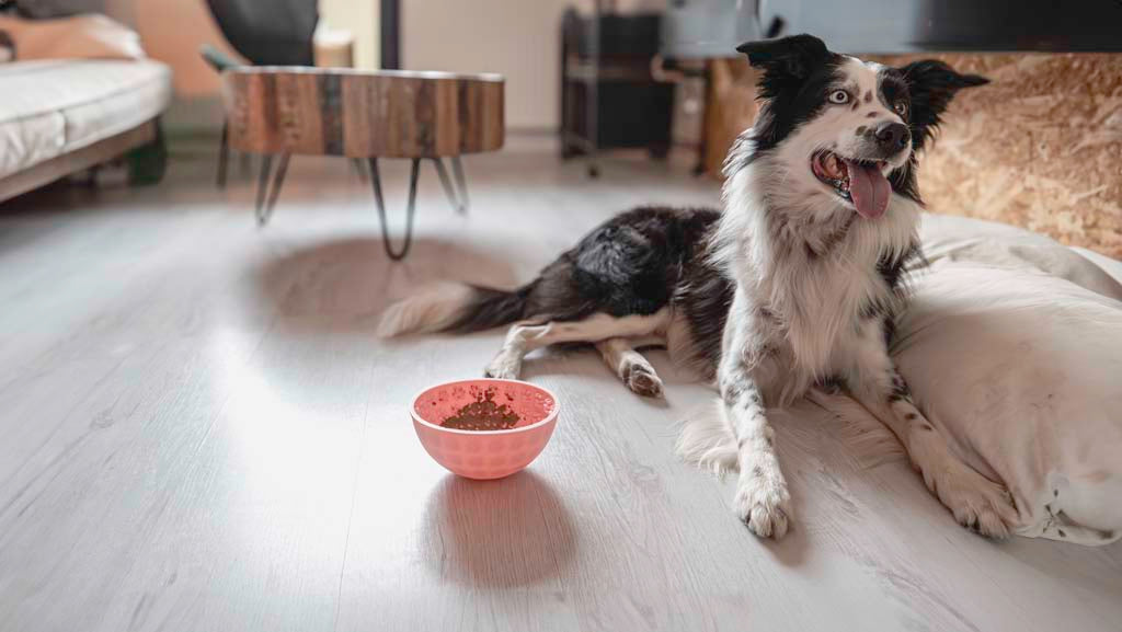 Eat Slow Live Longer Lick Mat Wobble Bowl Pink