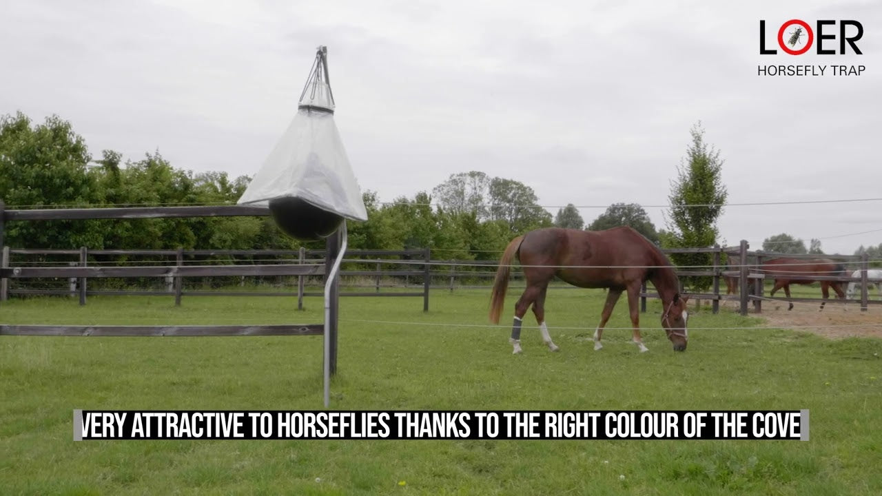 Loer Horsefly Trap Ball