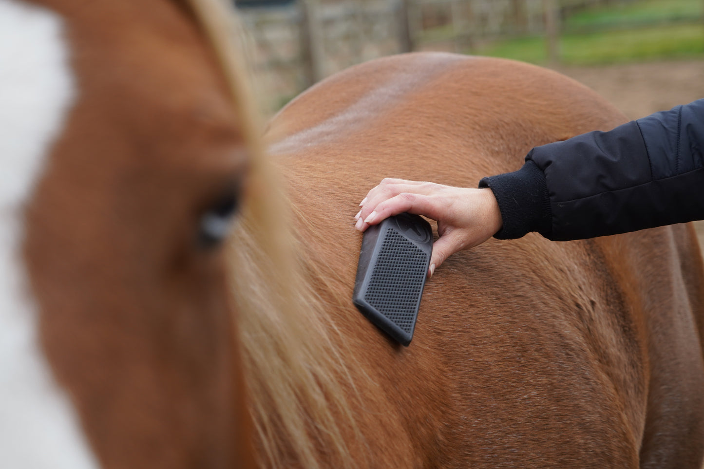 Package Deal Excellent Grooming Brush