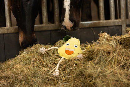 Excellent Horse Foodie Friends Pear