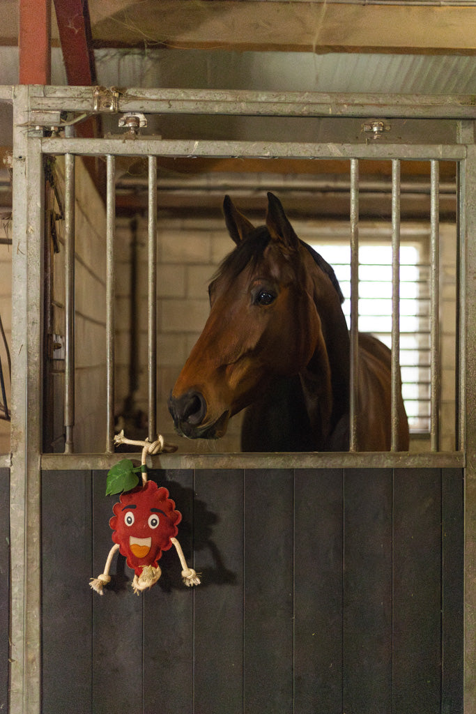 Excellent Horse Foodie Friends Raspberry