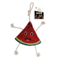 Excellent Horse Foodie Friends Watermelon