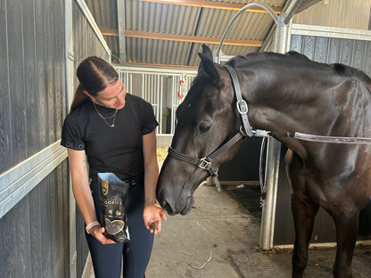 Excellent Horse Artisanal Horse Biscuits Apple