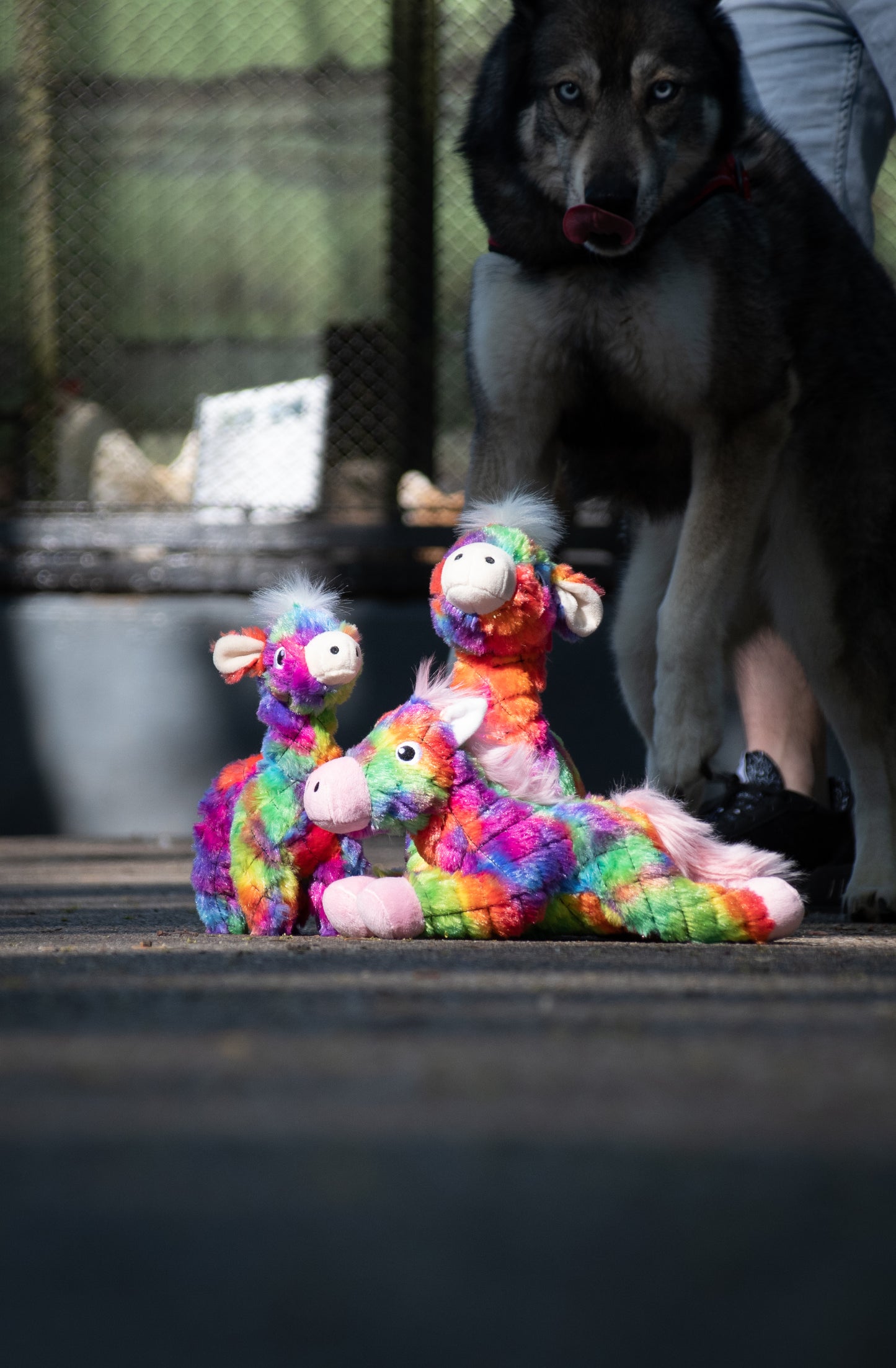 FantaZoo Giraffe - L