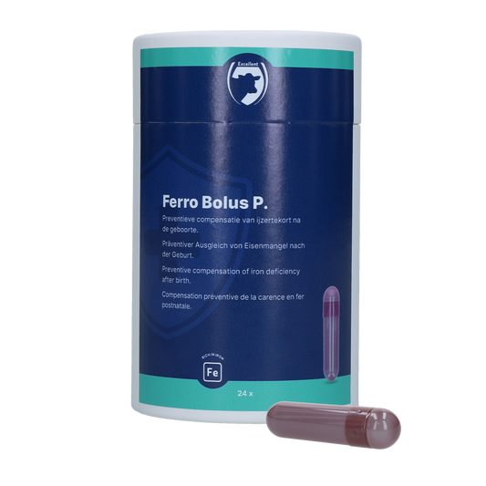 Kiváló Ferro Bolus P 24 x 8,5 g