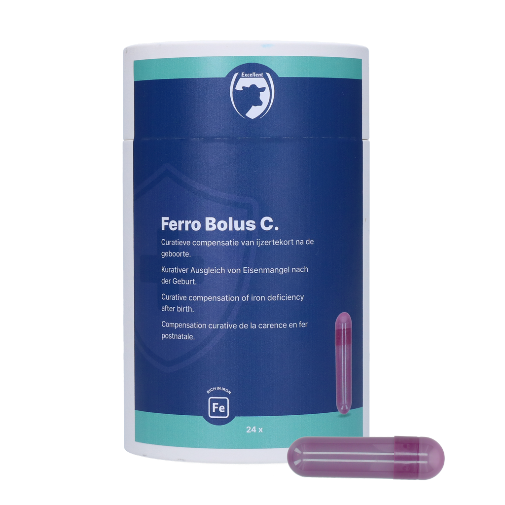 Excellent Ferro Bolus C 24 x 9.5 g