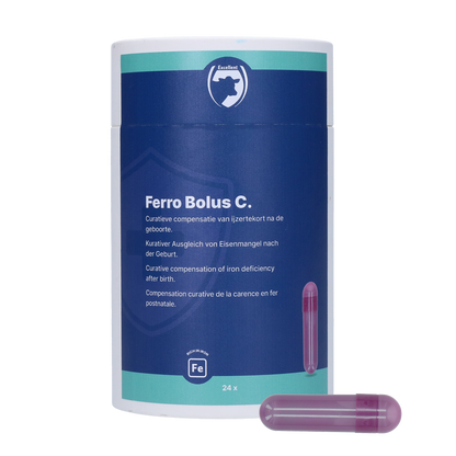 Excellent Ferro Bolus C 24 x 9.5 g