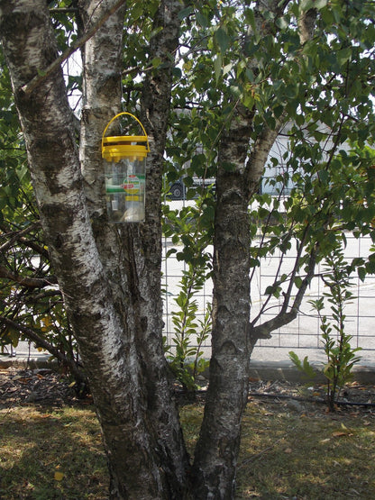 Flybuster Garden Trap