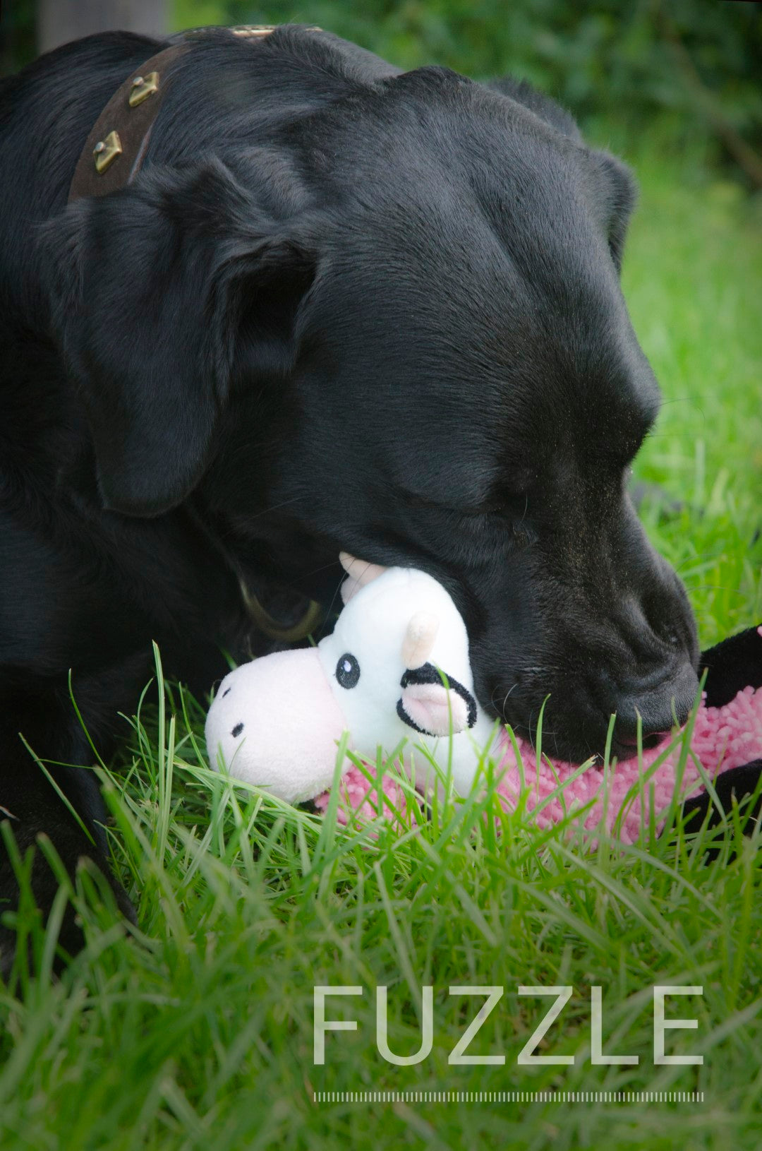 Fuzzle with 5 squeakers Cow