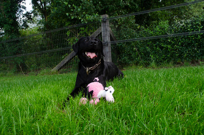 Fuzzle with 5 squeakers Cow