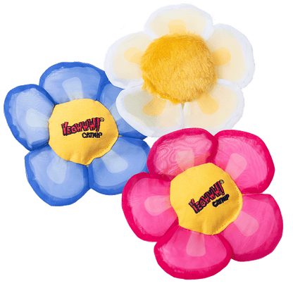 Yeowww! Display Strip Daisy's Flower Top 12 pcs.