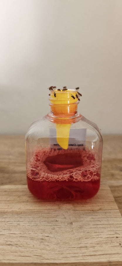 Knock Pest Fruit Fly Trap 1 Trap