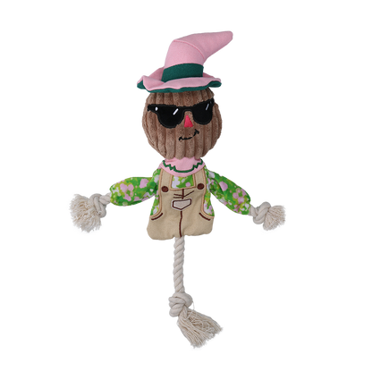Garden Paws Scarecrow Scary Harry S