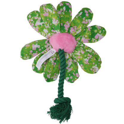 Garden Paws Flower Summer Shrubs M