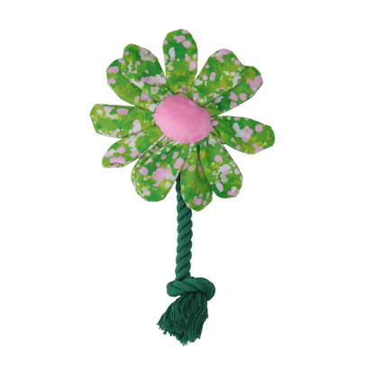 Garden Paws Flower Summer Shrubs S