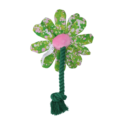 Garden Paws Flower Summer Shrubs S