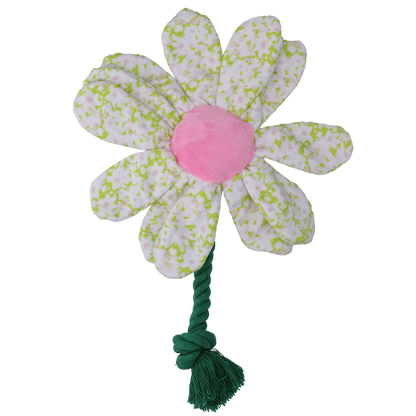 Garden Paws Flower Spring Sakura M