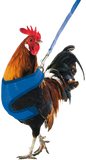 Gaun Chicken Harness