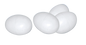 Gaun Poultry Plastic Egg