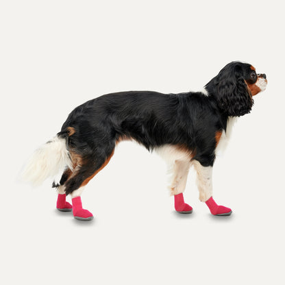 Goo-eez Dog Boots Ultras 2 Per Pack XL Red/Black