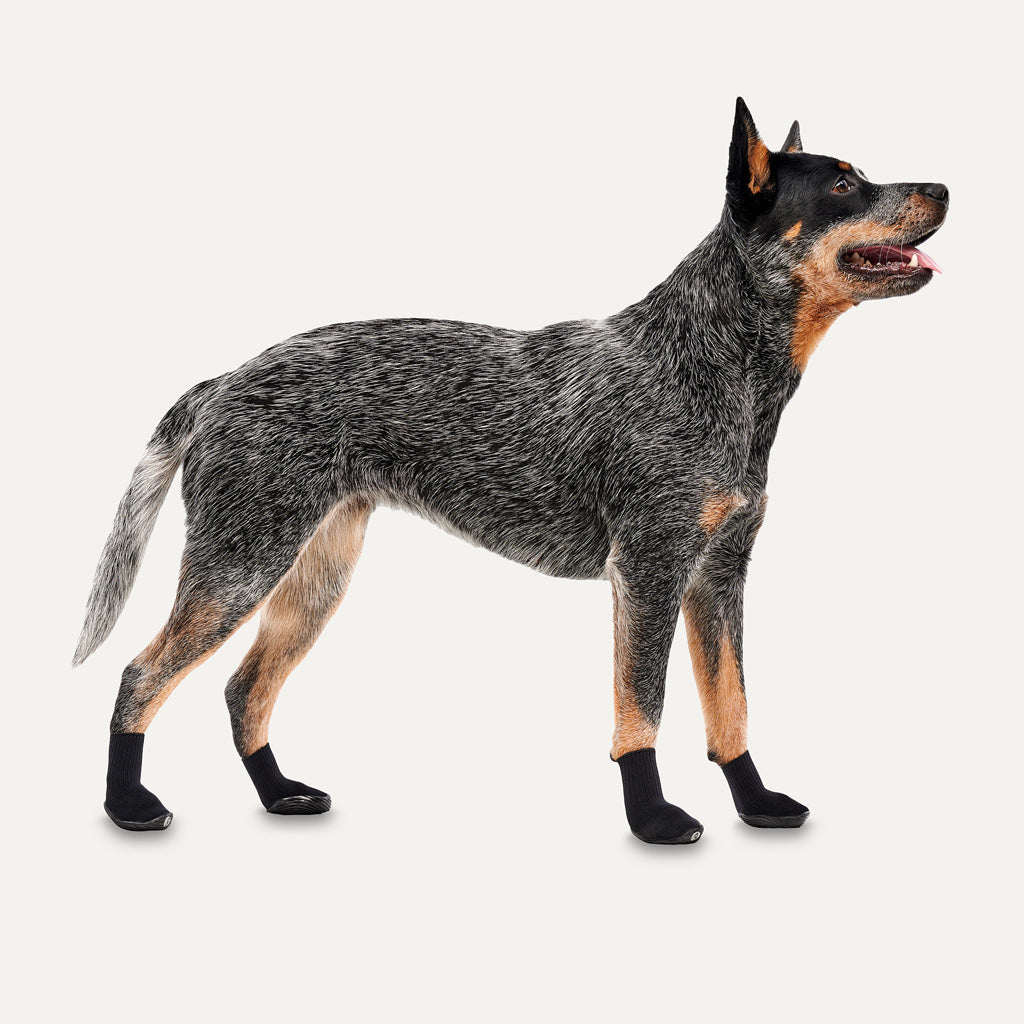 Goo-eez Dog Boots Lites 4 Per Pack XXS Black