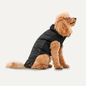 Goo-eez Mock Neck Signature Wrap Jacket L Black