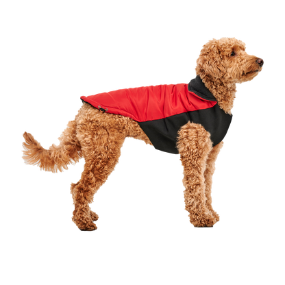 Goo-eez Mock Neck Signature Wrap Jacket S Red/Black
