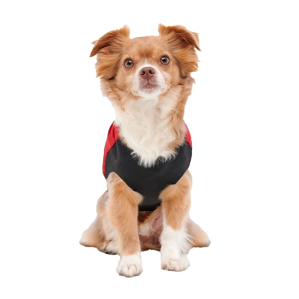 Goo-eez Mock Neck Signature Wrap Jacket XL Red/Black