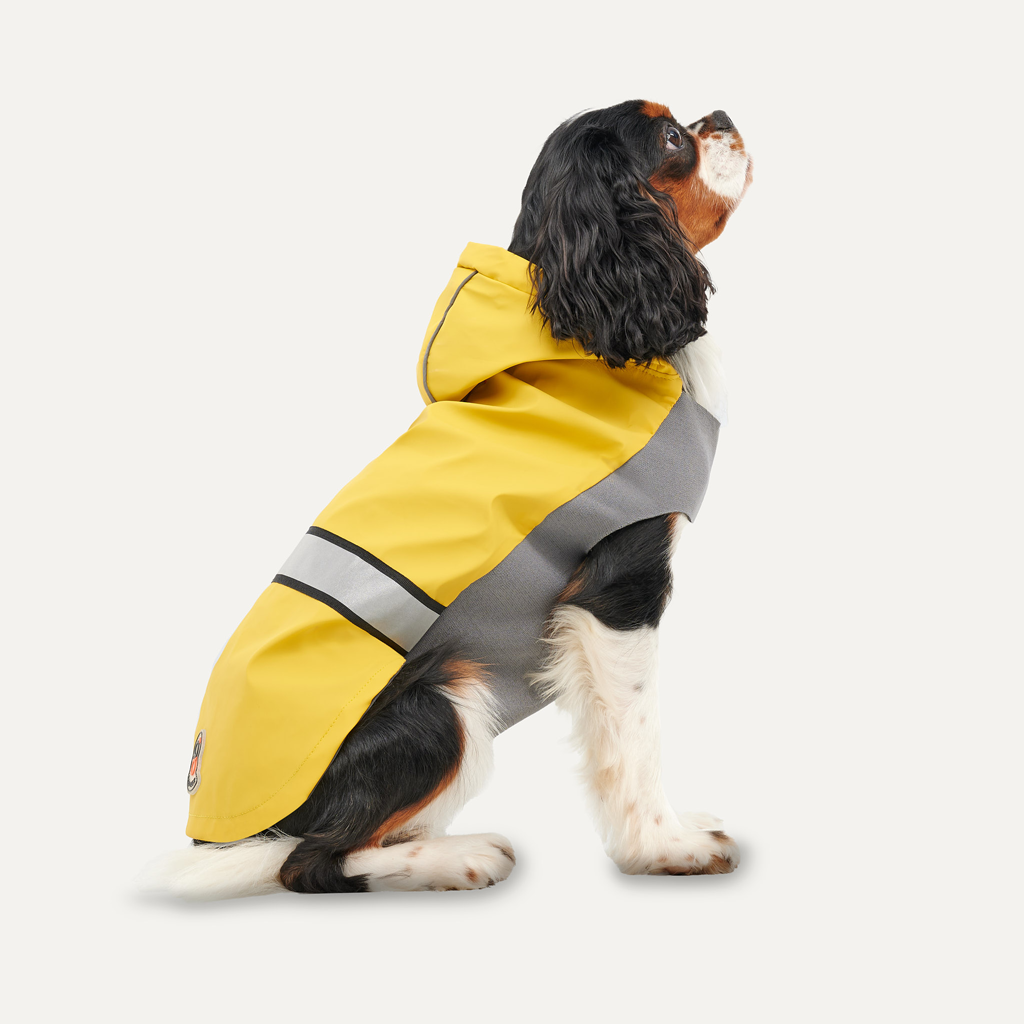 Goo-eez Reflective Hooded Raincoat XXL Yellow/Grey