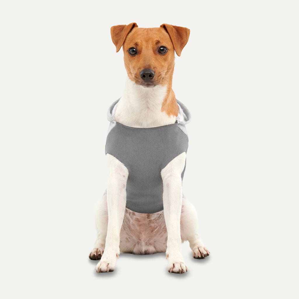 Goo-eez Kangaroo Fleece Hoodie XXL Grey