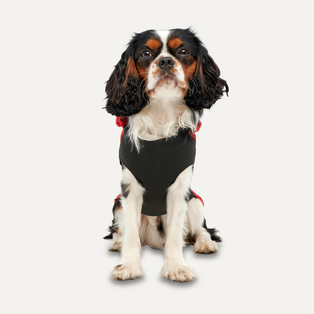 Goo-eez Kangaroo Fleece Hoodie S Red/Black