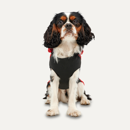 Goo-eez Kangaroo Fleece Hoodie XL Red/Black